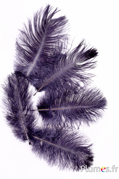 Autruche - 13-18 cm - anthracite